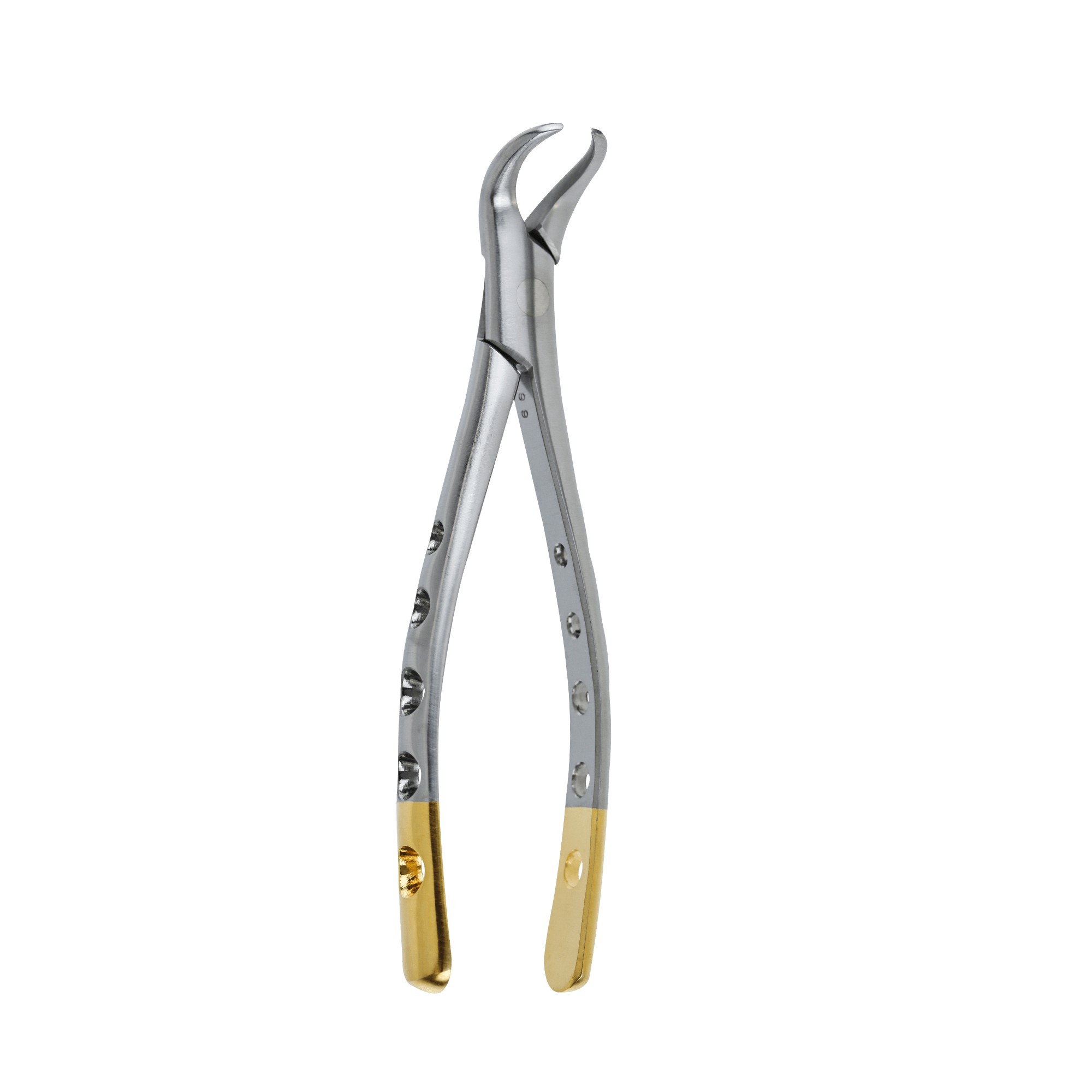 Dental Extraction Forceps F-23 Lower Molars Cow-Horn Beak. Dental Extraction Forceps.